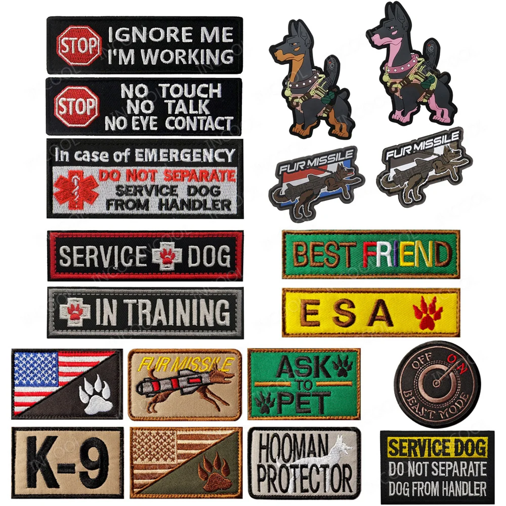 Photography Job - Best Friend ESA Service Dog Working
